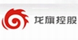 龙旗控股